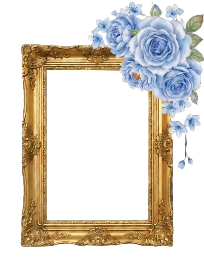 Frame